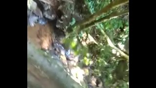 Fodendo a novinha no mato