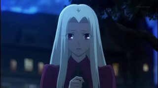 Assassin fate zero