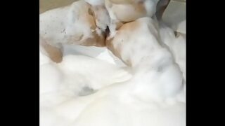 Putas c