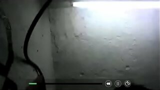 Xxn.videos